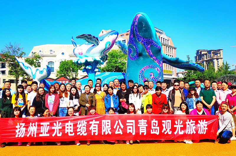 ইয়াংঝো ইয়াগুয়াং কেবল কোং, লিমিটেড