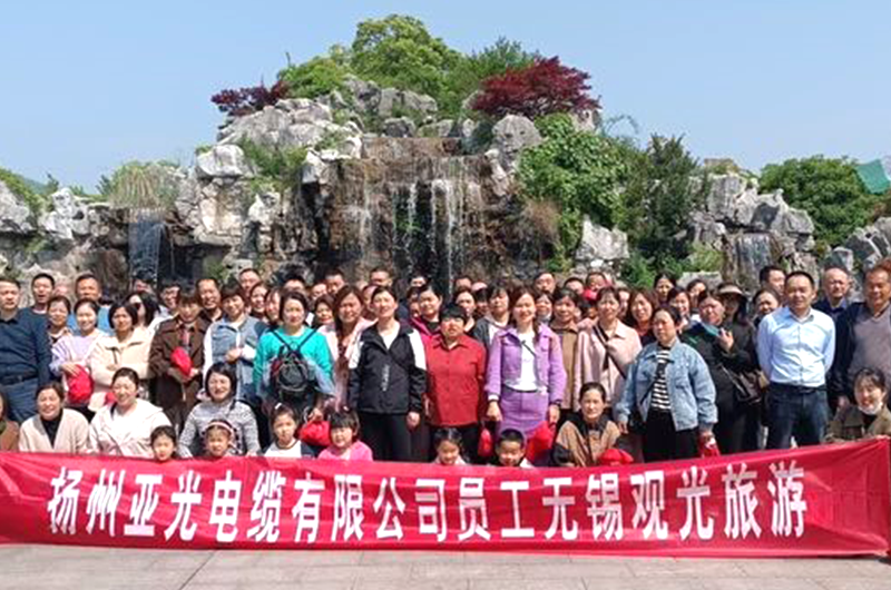 ইয়াংঝো ইয়াগুয়াং কেবল কোং, লিমিটেড