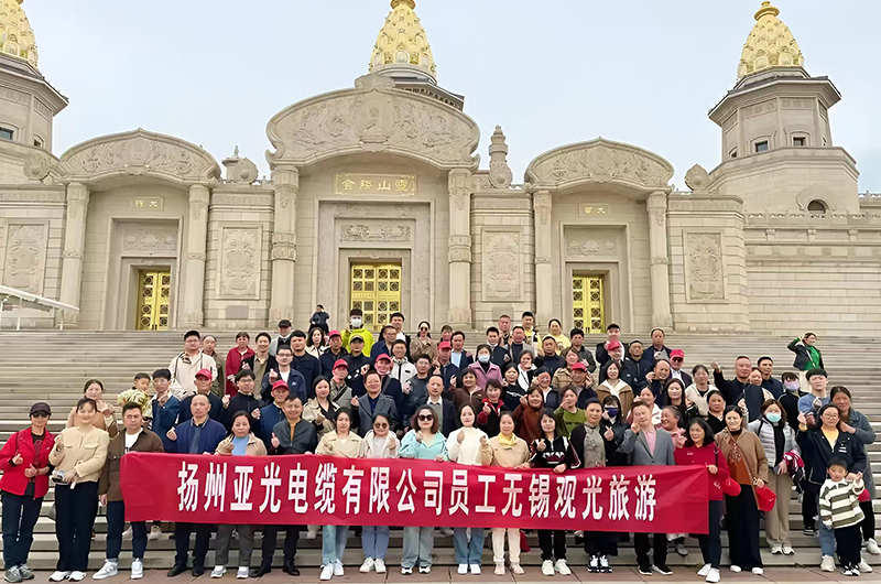 ইয়াংঝো ইয়াগুয়াং কেবল কোং, লিমিটেড