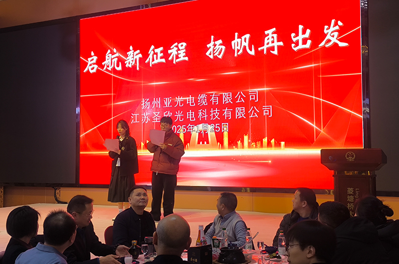 ইয়াংঝো ইয়াগুয়াং কেবল কোং, লিমিটেড