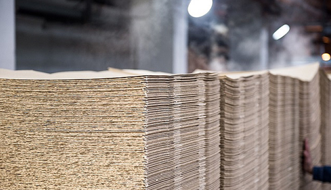 শানডং রিঝাও পাল্প প্রকল্প