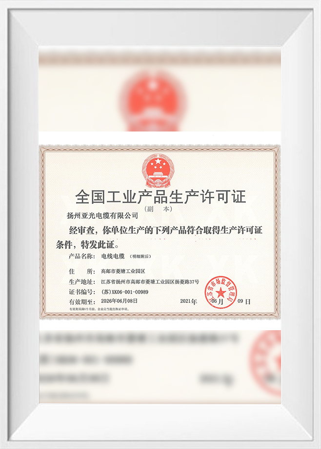 2021 উৎপাদন লাইসেন্স